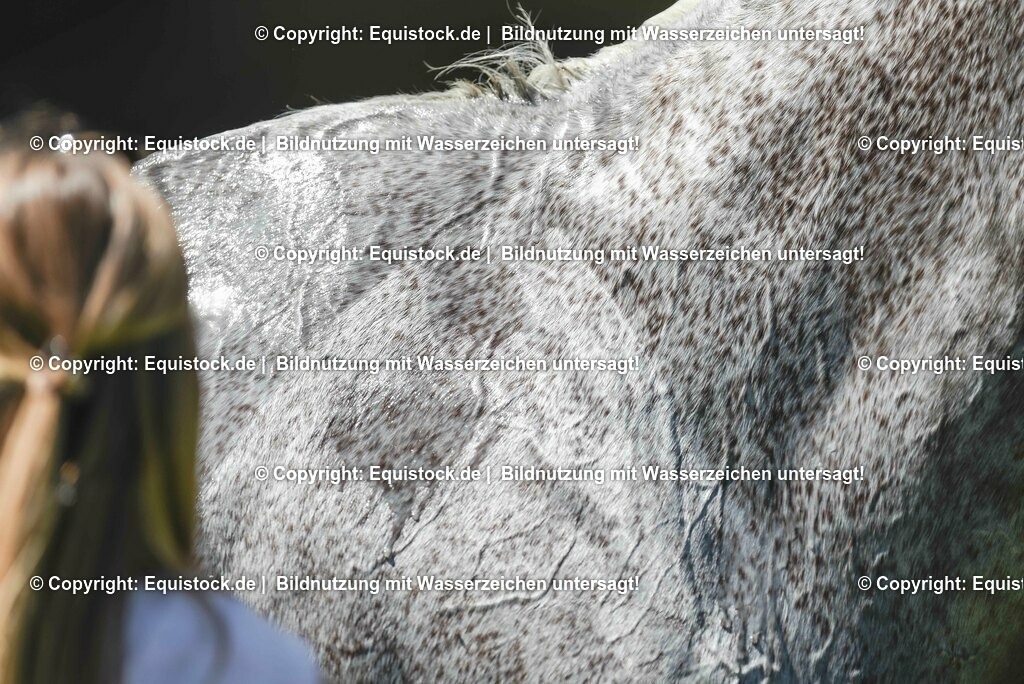 20230527_27_CCI4_Gelände_0247 | equistock