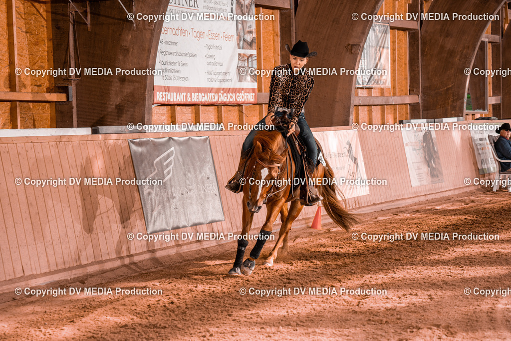 NE201203 | dv-media-shop - Realisiert mit Pictrs.com