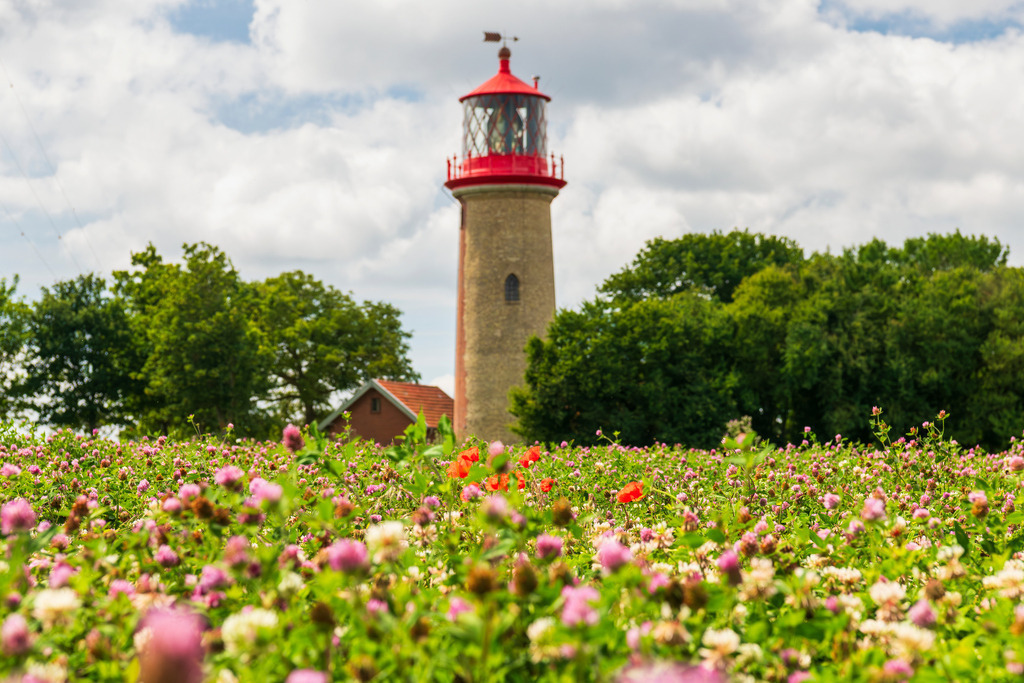 2025_07_09_FEHMARN-LEUCHTTURM+SCHMETTERLINGE_MCP8828 | Hochwertig gedruckte Fotografien für die Wand, als Kalender und zum Verschenken. Hamburg & Norddeutschland und überall wo ich mit der Kamera unterwegs war.