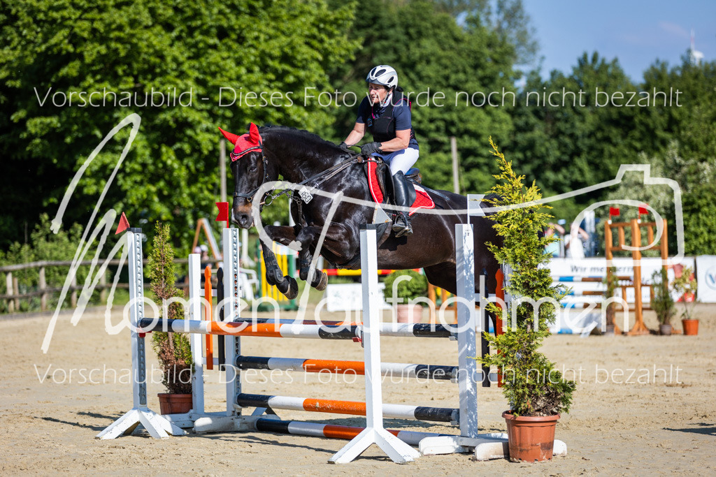 Donop24-ASpr-076 | MomenTaufnahmen Pferdesportfotos