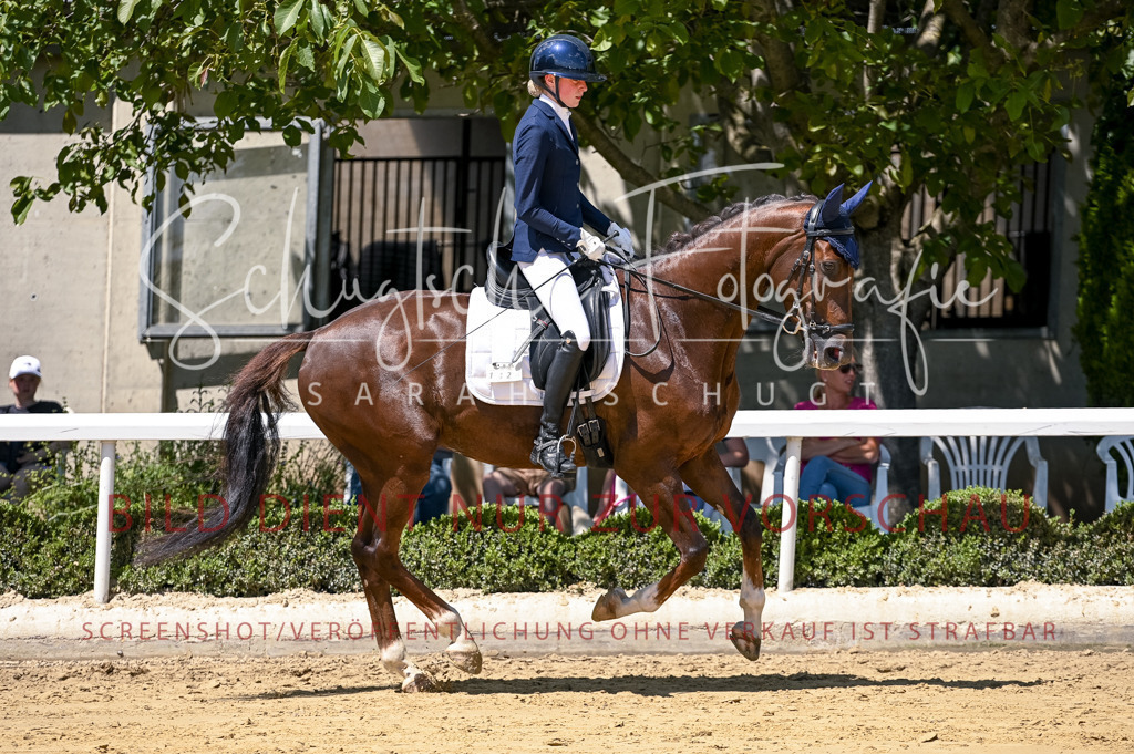 Schugtsche-Aluta25-49.Dressurpferdeprf.A-32 | Schugtsche Fotografie - Realisiert mit Pictrs.com