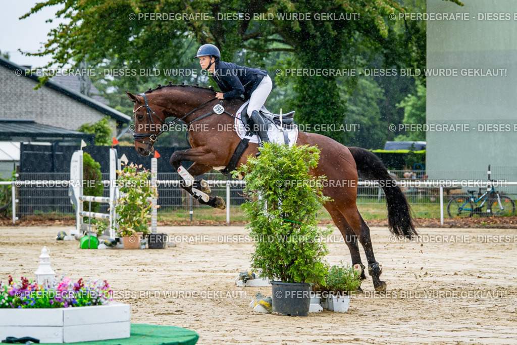 DSC02604 | Pferdegrafie