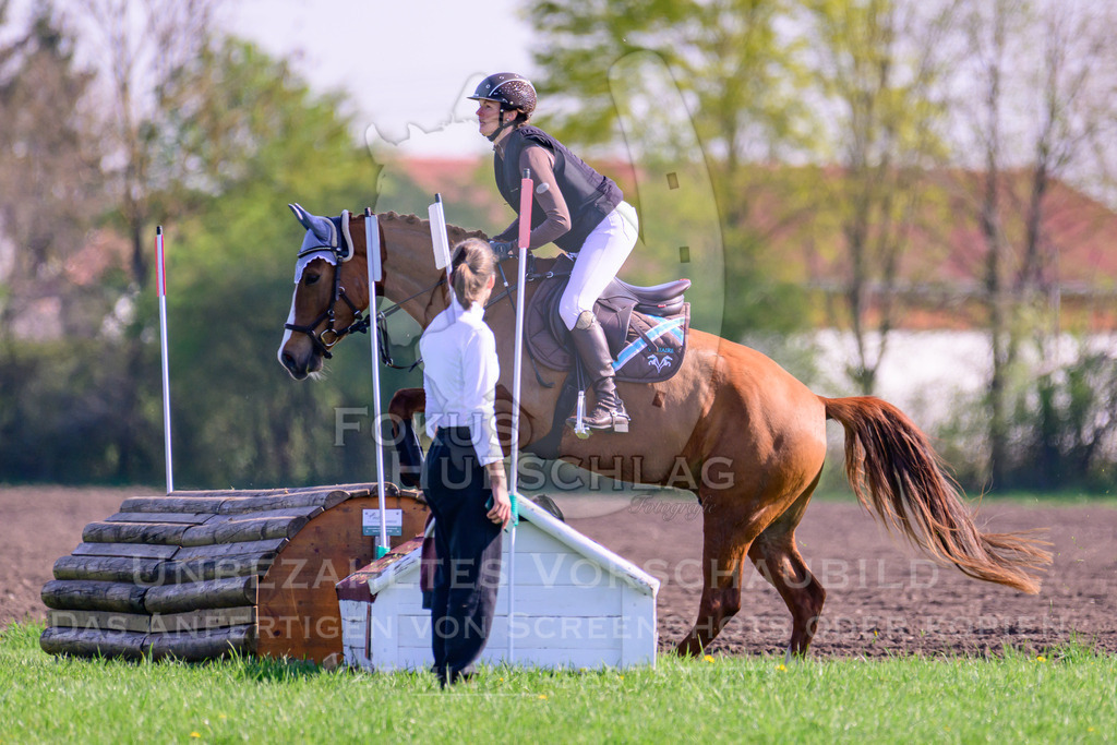 18042026-Gernlinden-03-0333 | Fokus Hufschlag Fotografie - Realisiert mit Pictrs.com