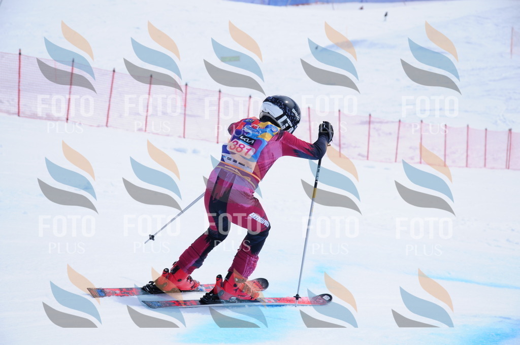 DSC_7430 | holidayphoto