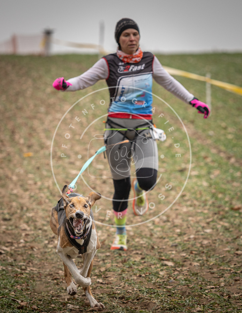 Pfotenfotografie_DV3A4941 | Hundefotografie, Tierfotograf, Pfotenfotografie, Fotoshooting Hund, Hunde Portrait, Hundesport, Hundeportraits, Heideshooting, Hunde, Sportfotograf, Hundefotograf, Turnierhundsport, THS,  - Realisiert mit Pictrs.com