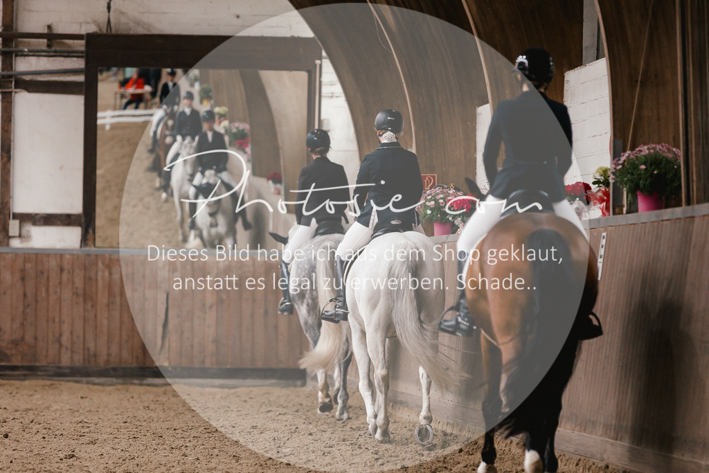 3I6A7351 | Stimmungsvolle Portraits und Reitsportfotografie im Ruhrgebiet und im Münsterland.

Pferdefotografie, Hundefotografie, Tierfotografie, Reportagen, Portraits von Tier und Mensch, Turnierfotografie in Bochum, Recklinghausen, Marl, Haltern am See, Dülmen.. - Realisiert mit Pictrs.com