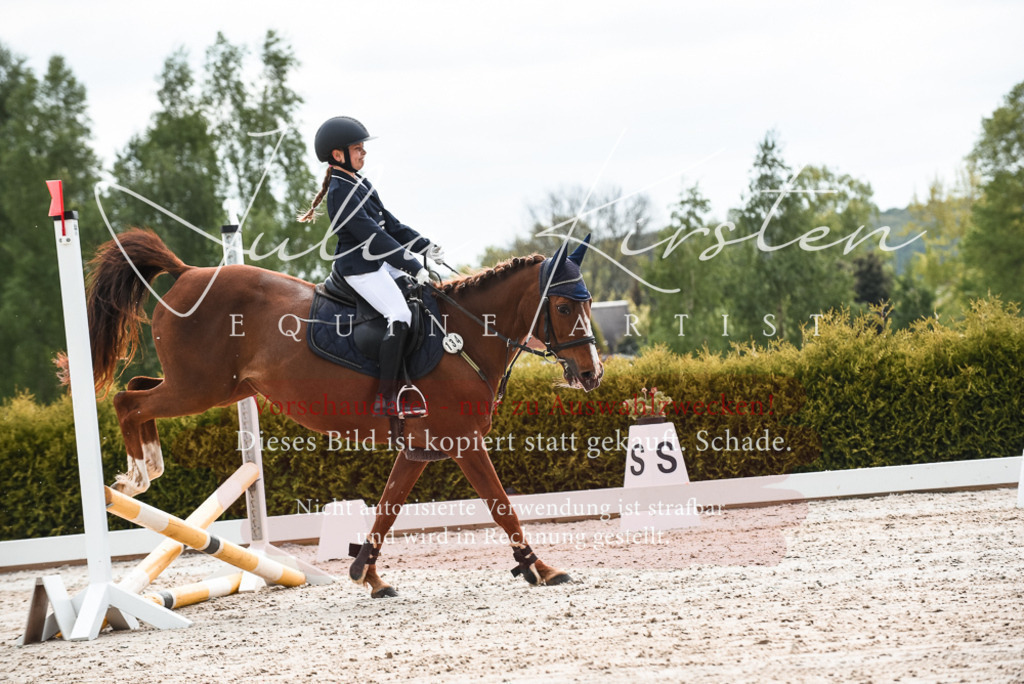 20230518_JK-Röhrsdorf-10-035 | Pferde- und Turnierfotografie in Westsachsen. Pferdeportraits, Auftragszeichnungen und intuitive Kunst.