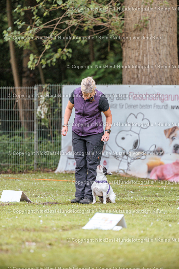 RO-Blumenthal-2026-Nickbest-Hundefotografie-0028 | Dein Hund! Dein Moment! Deine Erinnerungen! Hundefotografie in Bremen Blumenthal. Ich fange die besonderen Momente deines Vierbeiners ein – ob Indoor mit Blitzanlage oder in der freien Natur. Sicher dir dein Moment und dein Termin für eure Erinnerungen.