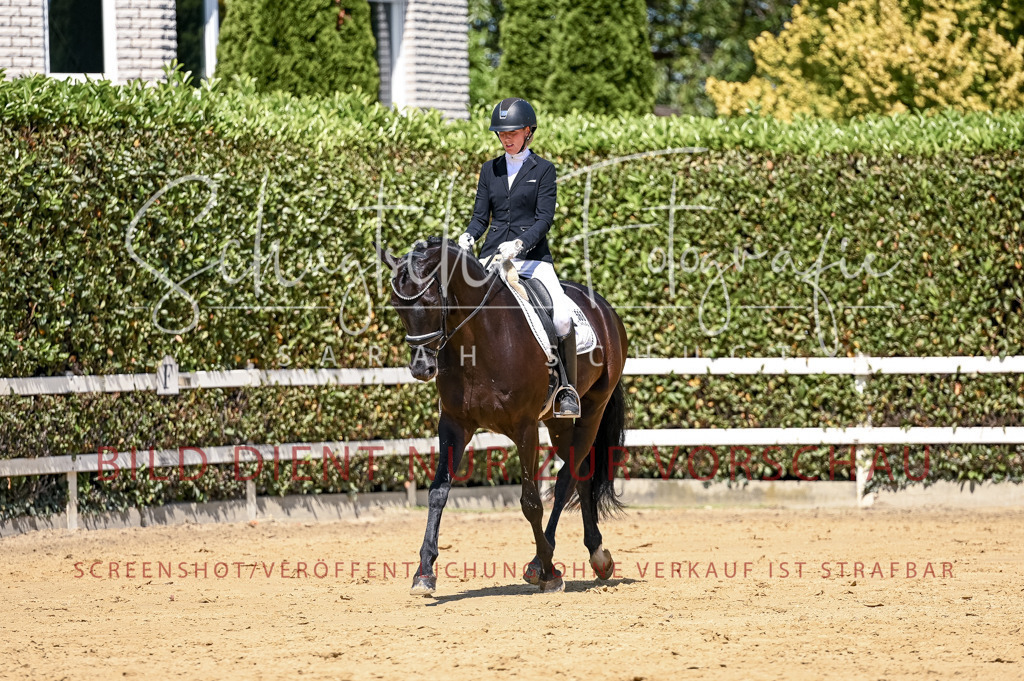 Schugtsche-Aluta25-49.Dressurpferdeprf.A-306 | Schugtsche Fotografie - Realisiert mit Pictrs.com