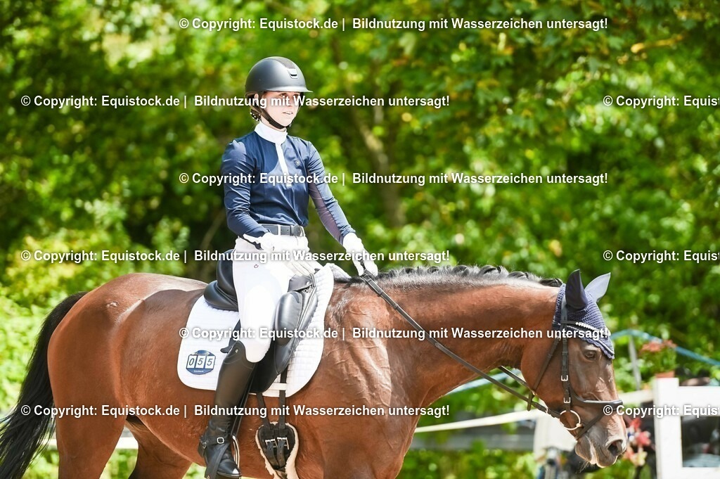 20230716_03_Dressurprfg. Kl.L - Tr._0296 | equistock