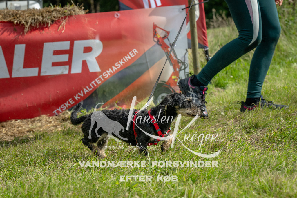 1134_ZZ94857 | kk-dogfotos