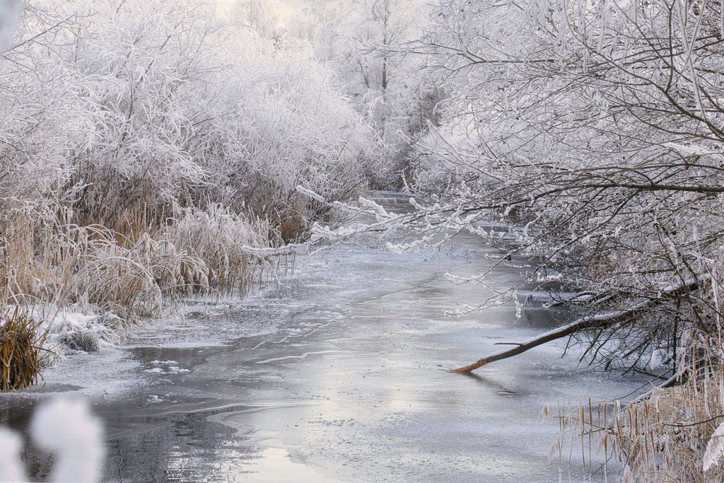 Winterstimmung Palten | walter-wagner-fotografie