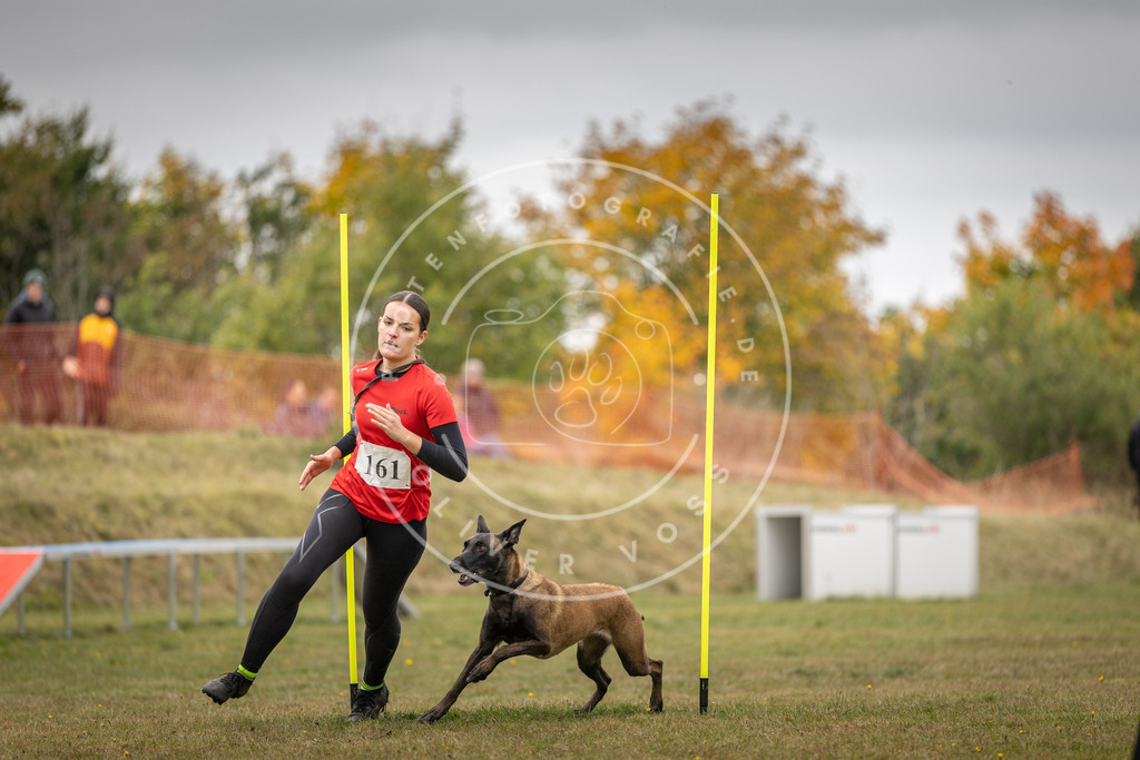 Pfotenfotografie_DV3A5213 | Hundefotografie, Tierfotograf, Pfotenfotografie, Fotoshooting Hund, Hunde Portrait, Hundesport, Hundeportraits, Heideshooting, Hunde, Sportfotograf, Hundefotograf, Turnierhundsport, THS,  - Realisiert mit Pictrs.com