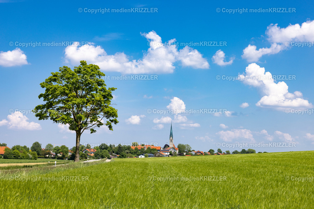 Kienberg | medienkrizzler - Realisiert mit Pictrs.com