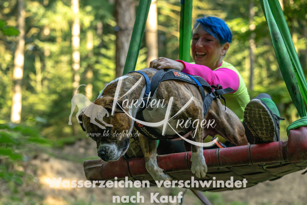 0937_ZZ91319-Bearbeitet | kk-dogfotos