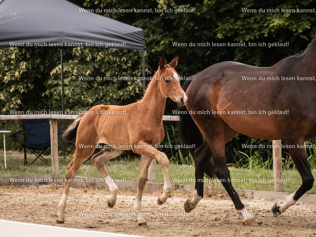 A10I6289 | photographylinaismer - Realisiert mit Pictrs.com