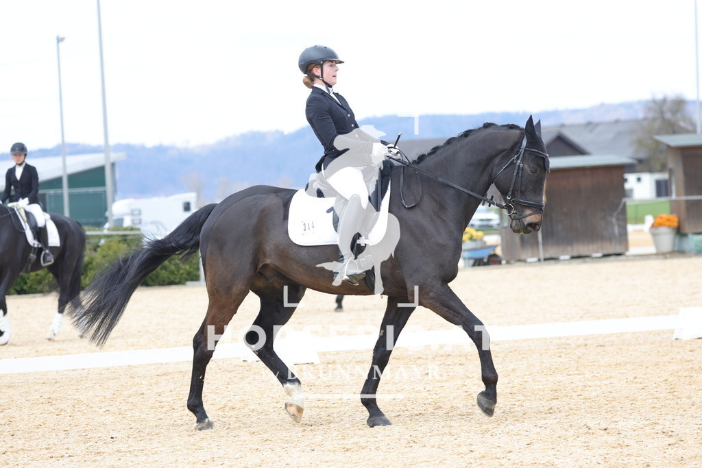 0P6A7081 | Willkommen bei Brunnmayr - Design & Fotografie – Ihrem Spezialisten für Reitturniere und Pferdeveranstaltungen in Oberösterreich, Salzburg und Bayern! Seit über 17 Jahren sind wir leidenschaftlich dabei.