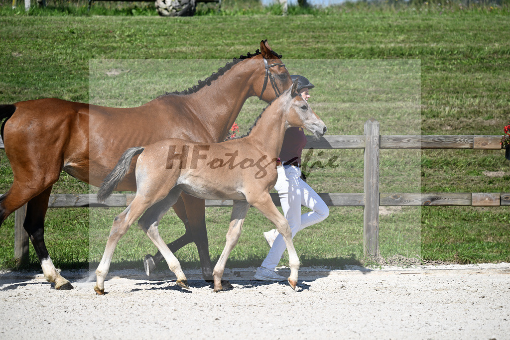 Kat-Nr. 5 Arezzo Man x Araconit_HF_Mayer_24250074 | hf-fotografie - Realisiert mit Pictrs.com