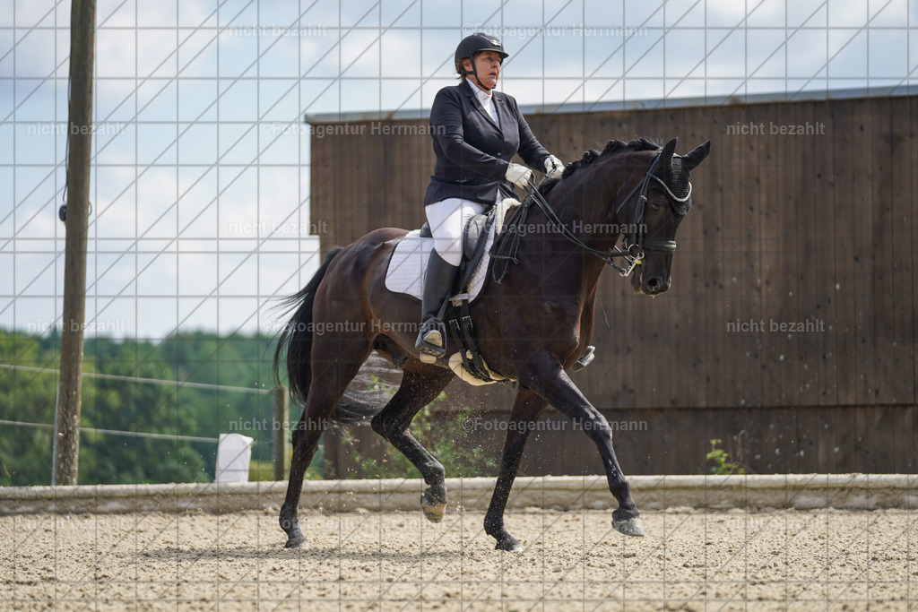 20230826-FAH05762 | Forstinning, 2023, Dressurturnier, Turniersportbilder, Turnierfotografen Bayern, Fotoagentur Herrmann, Reitsportfotografie, Turnierbilder