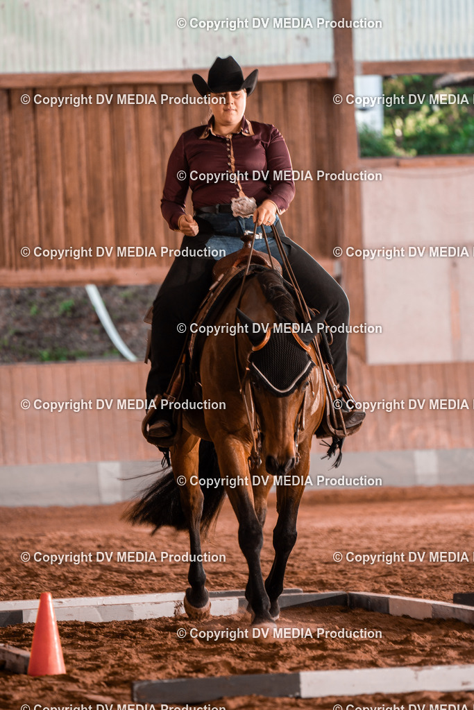 NE300131 | dv-media-shop - Realisiert mit Pictrs.com