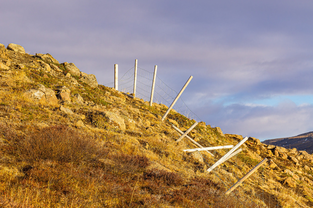 Landschaft mit Zaun und Gras im Osten von Island | Landschaft mit Zaun und Gras im Osten von Island.