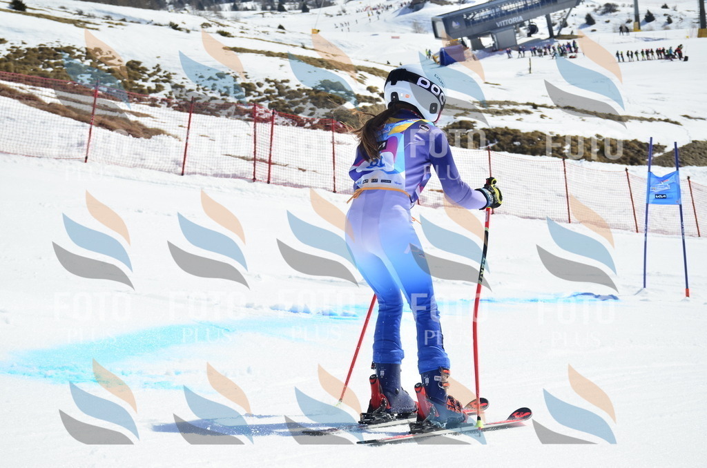 _ELE0483 | holidayphoto