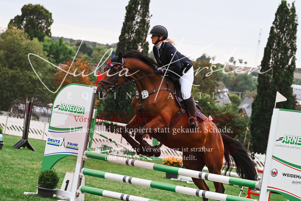 DSC_6475 | Pferde- und Turnierfotografie in Westsachsen. Pferdeportraits, Auftragszeichnungen und intuitive Kunst.