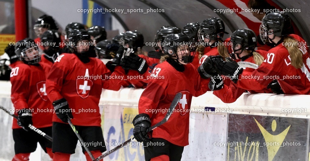 MOWE2483 | hockey sports photos, Pressefotos, Sportfotos, hockey247, win 2day icehockeyleague, Handball Austria, Floorball Austria, ÖVV, Kärntner Eishockeyverband, KEHV, KFV, Kärntner Fussballverband, Österreichischer Volleyballverband, Alps Hockey League, ÖFB, 