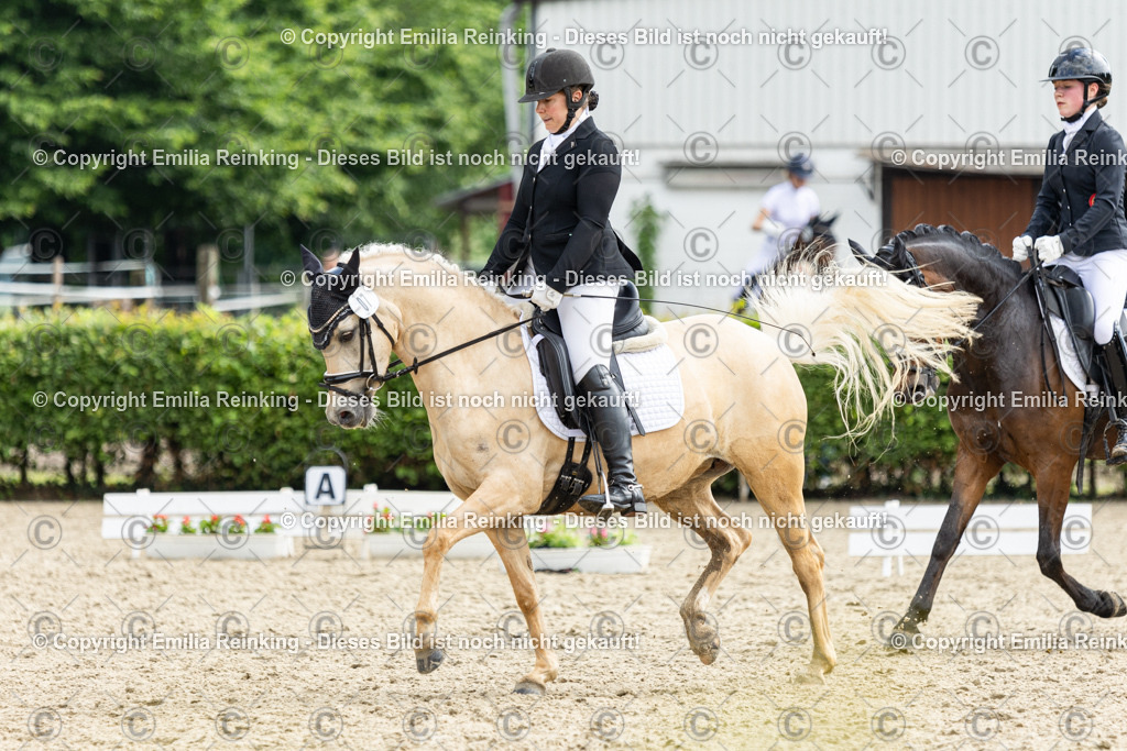 CL5A6106 | Emilia Reinking Fotografie - Realisiert mit Pictrs.com