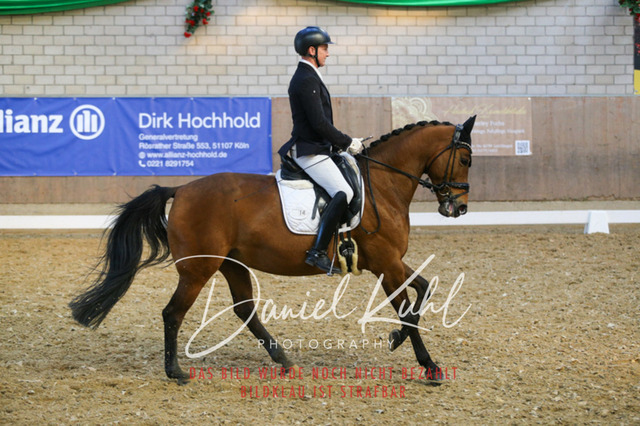 IMG_2765 | Turnierfotos kaufen im Webshop von Daniel Kuhl Photography – entdecke professionelle Reitsportfotos aus Turnieren & Events. Hochwertige Turnierbilder online bestellen & sichern. Jetzt Fotos von Reitsportturnieren kaufen!
