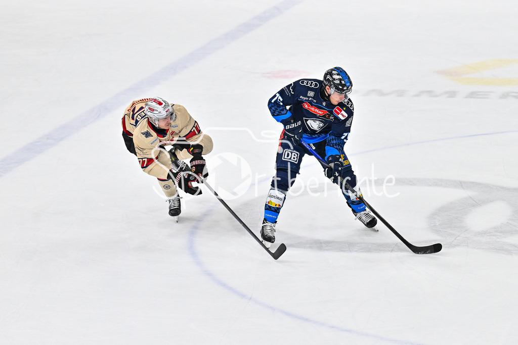 ERC Ingolstadt - Nuernberg Ice Tigers | im Duell Will GARBER (Nuernberg Ice Tigers 77) und Alex BRETON (ERC Ingolstadt 75) / Zweikampf / DEL: ERC Ingolstadt - Nuernberg Ice Tigers, Saturn Arena am 21.03.2025