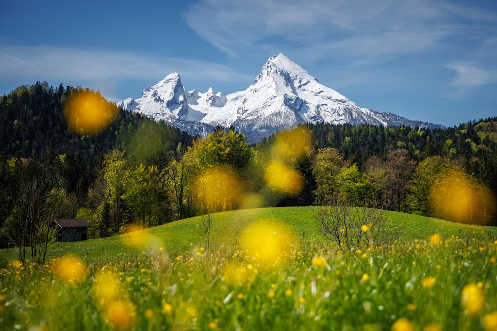 Watzman Frühling 5 | ap-design // andreas plenk - Realisiert mit Pictrs.com