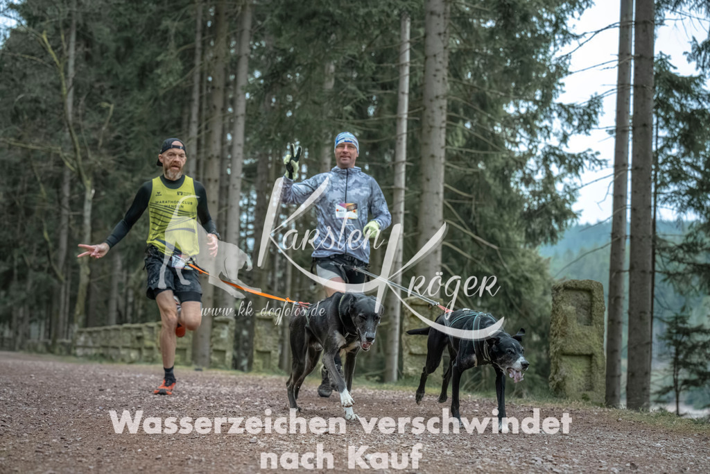 0818_ZZ91086 | kk-dogfotos