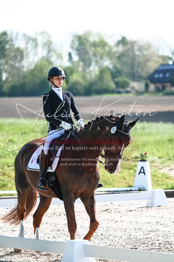 20230514_JK-Röhrsdorf-18-181 | Pferde- und Turnierfotografie in Westsachsen. Pferdeportraits, Auftragszeichnungen und intuitive Kunst.