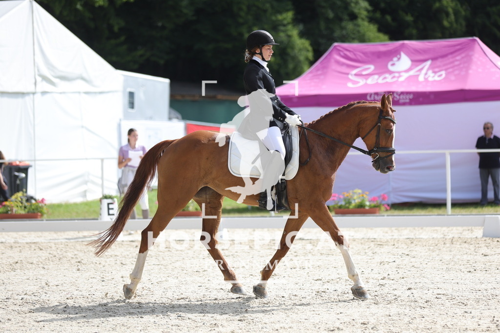 0P6A4959 | Willkommen bei Brunnmayr - Design & Fotografie – Ihrem Spezialisten für Reitturniere und Pferdeveranstaltungen in Oberösterreich, Salzburg und Bayern! Seit über 17 Jahren sind wir leidenschaftlich dabei.