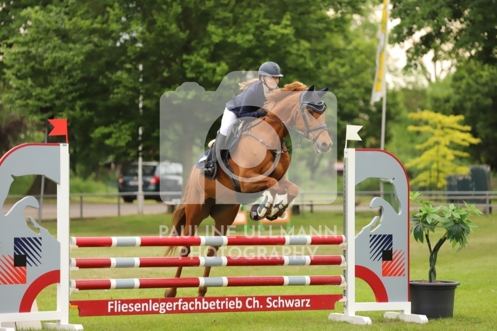 IMG_6733 | Pauline Ullmann Photography - Realisiert mit Pictrs.com