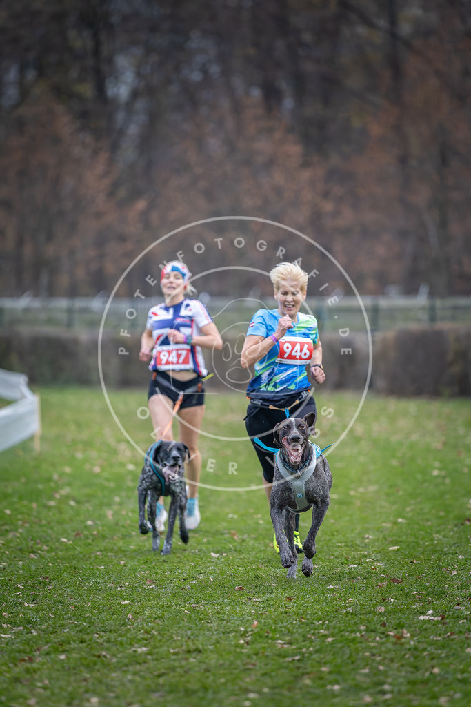 CaniXpix_DV3A7280 | Hundefotografie, Tierfotograf, Pfotenfotografie, Fotoshooting Hund, Hunde Portrait, Hundesport, Hundeportraits, Heideshooting, Hunde, Sportfotograf, Hundefotograf, Turnierhundsport, THS,  - Realisiert mit Pictrs.com