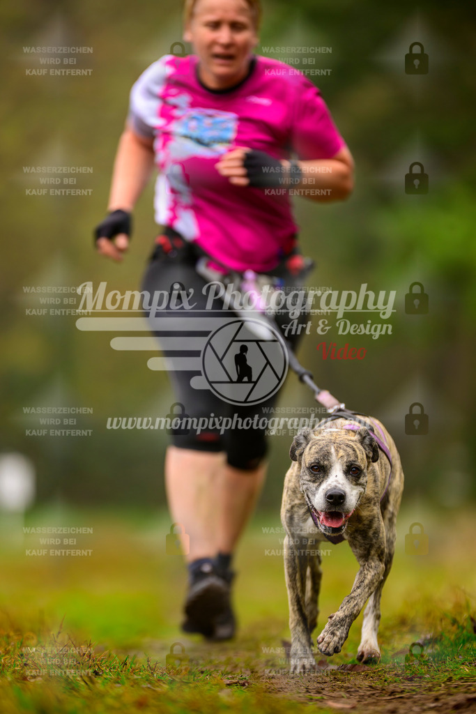 MompixPhotography_Bischwiller2025_Canicross-172 | mompixphotography