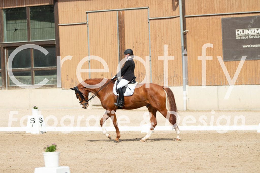 IMG_1334 | Creatify Fotografie