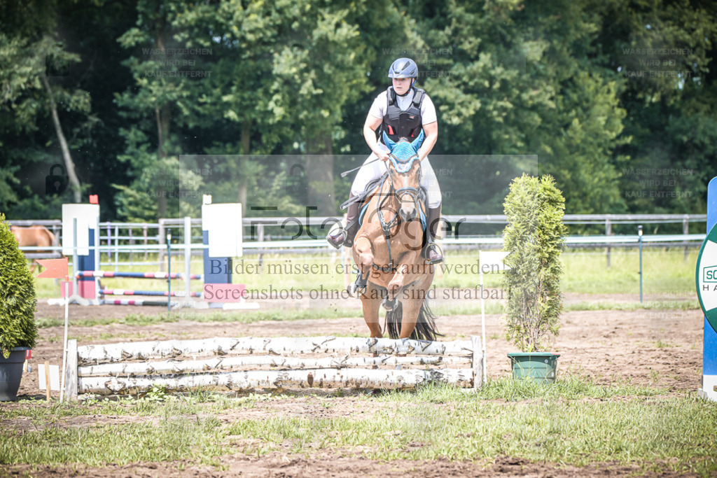 DOS_3304 | Entdecke hochwertige Reitturnierfotos von Foto Oger. Professionell, emotional und authentisch – jetzt Lieblingsmomente im Shop bestellen. - Realisiert mit Pictrs.com