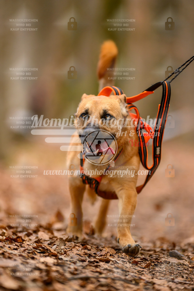 MompixPhotography_Habay2025_SA_CCC-249 | PayLife