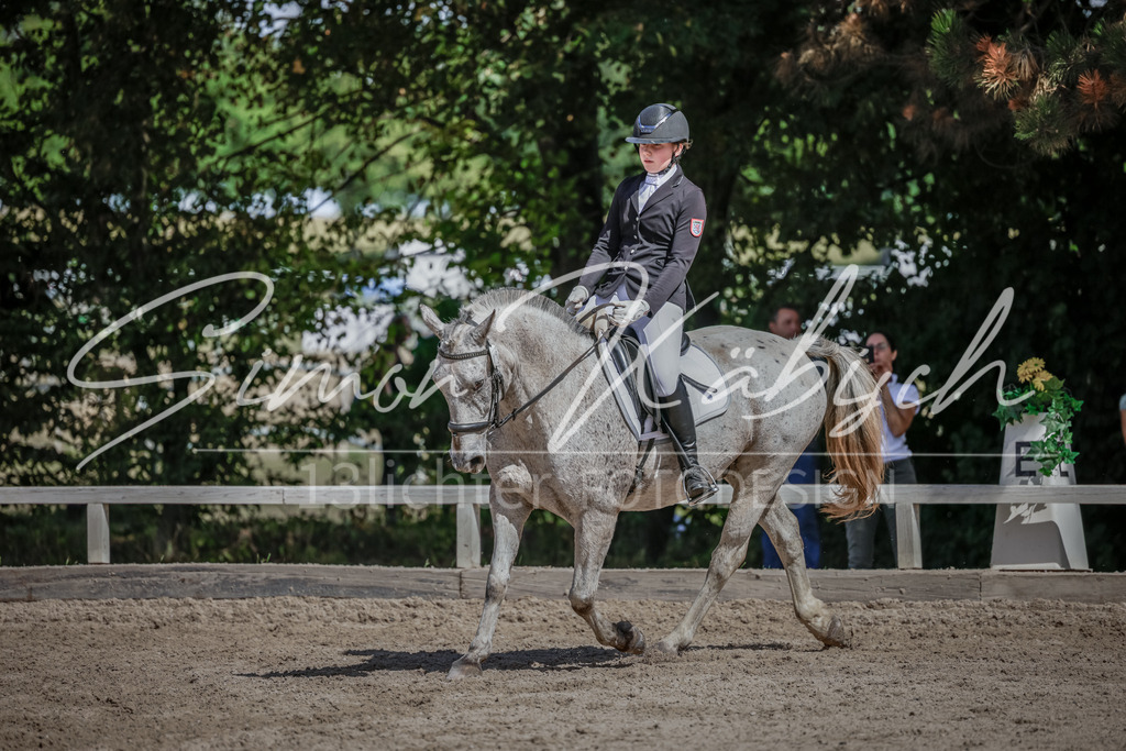 20250906-_3LI5232 | Tierfotografie Pferde, Hunde, Katzen, Haustiere.
Turnierfotografie Reitturniere, Reiten, Springreiten, Dressur in Hanau, dem Main-Kinzig-Kreis und dem Rhein-Main- Gebiet um Frankfurt