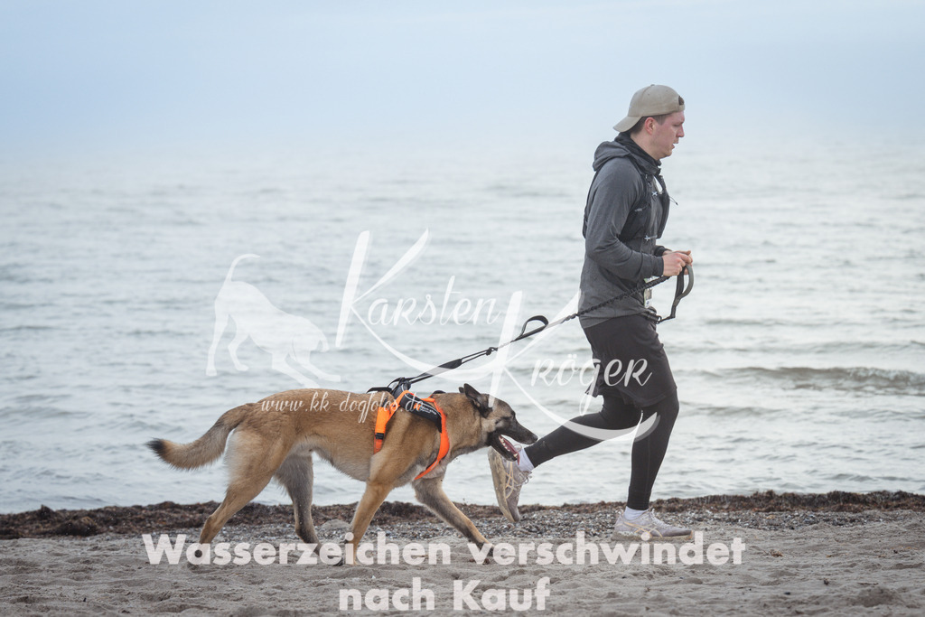 1130_ZZ98804 | kk-dogfotos