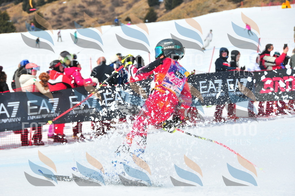 DSC_6173 | holidayphoto