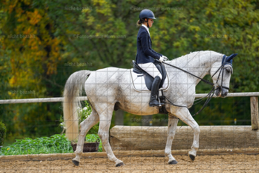 20221008-FAH01382 | Diessen am Ammersee, 2022, Dressur- und Springturnier, Reitsportbilder, Turnierfotografen Bayern, Pferdefotografen, Fotoagentur Herrmann, Turnierbilder