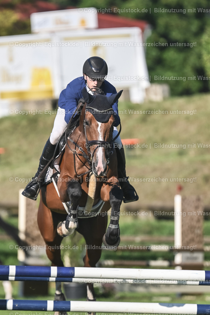 20230908_14-15_Springpferde-A_0060 | equistock