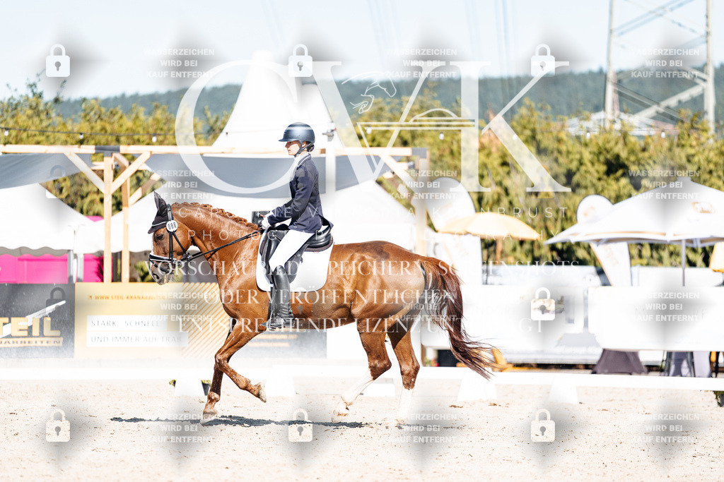 CK908437 | Turnierfotografie Pferdefotografie Trier Rheinland-Pfalz Pferdesport Reitsport Tierfotografie Sportfotografie Pferdevideo Pferdevideografie Equestrianvideography equestrianphotography  - Realisiert mit Pictrs.com