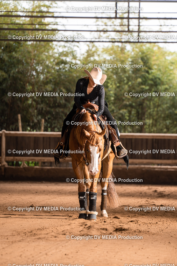 Erbach Tag 2-724 | dv-media-shop - Realisiert mit Pictrs.com