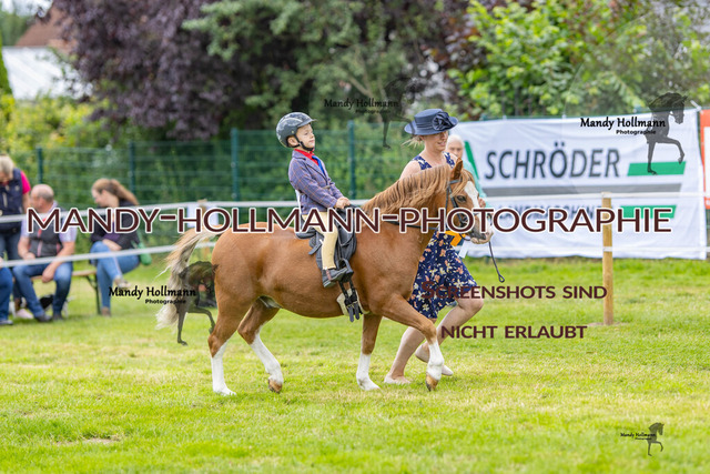 IG WELSH M 2024-215 | mandyhollmannphotographie