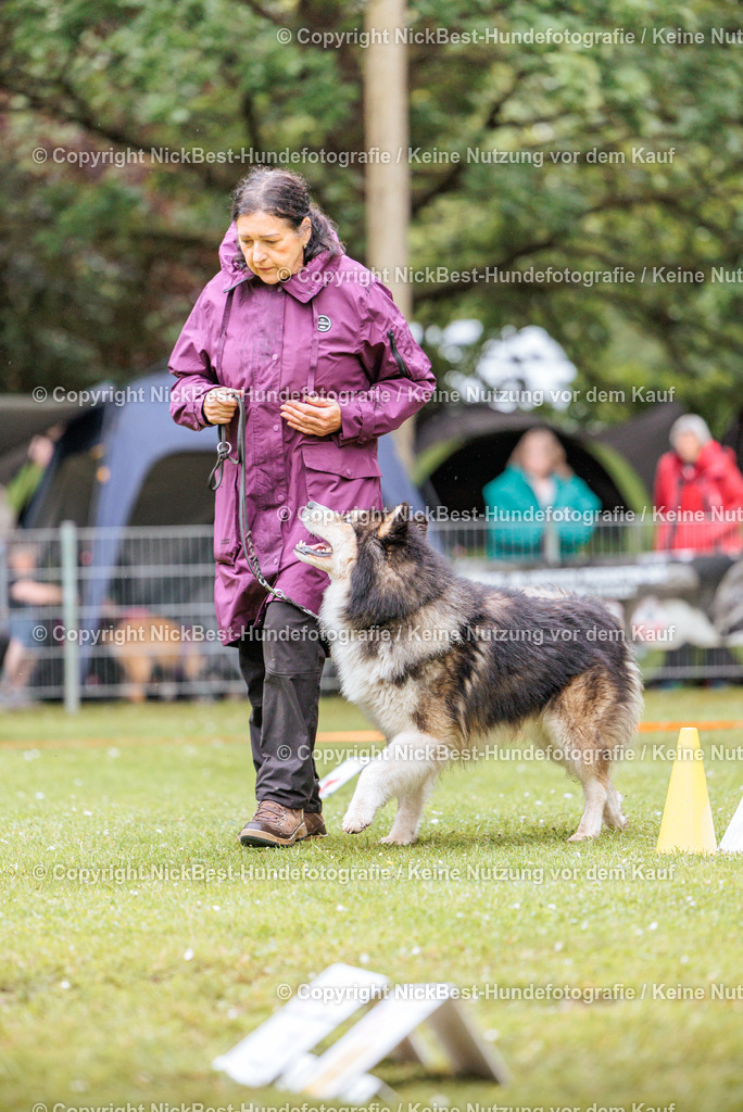 RO-Blumenthal-2026-Nickbest-Hundefotografie-0835 | Dein Hund! Dein Moment! Deine Erinnerungen! Hundefotografie in Bremen Blumenthal. Ich fange die besonderen Momente deines Vierbeiners ein – ob Indoor mit Blitzanlage oder in der freien Natur. Sicher dir dein Moment und dein Termin für eure Erinnerungen.